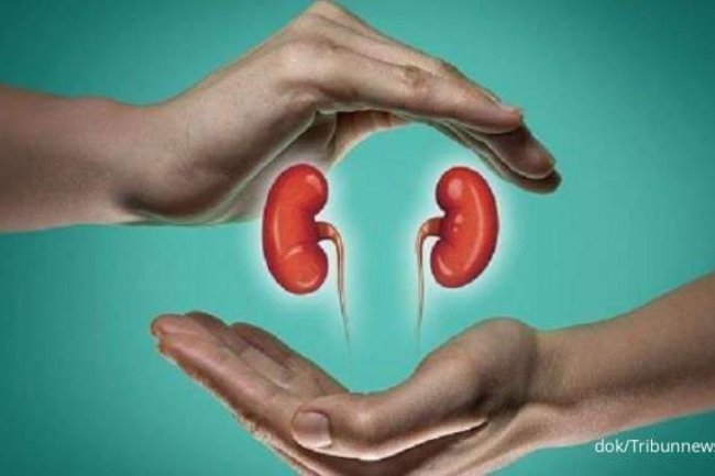 Pahami Bahaya Gagal Ginjal Kronis dan Risiko Hiperkalemia
