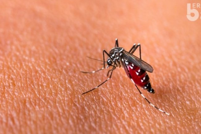 Warga Kabupaten Pasuruan Diminta Tingkatkan Kebersihan Lingkungan