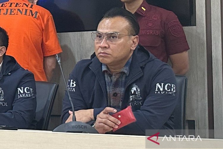 Interpol sebut ada lima pintu imigrasi rutin dipakai buronan internasional masuk Indonesia