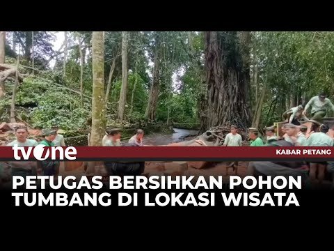 Imbas Peristiwa 2 Turis Tewas Tertimpa Pohon, Pengelola Tutup Sementara Objek Wisata