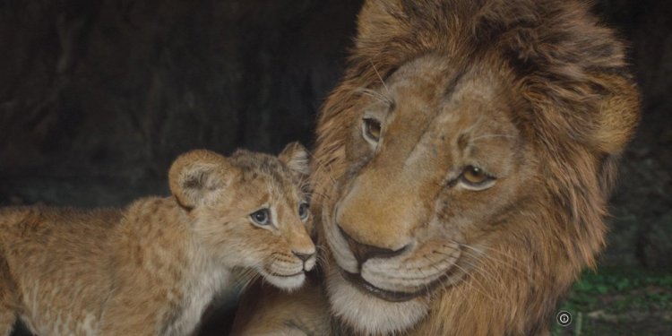 Sinopsis dan Fakta Menarik Film ‘MUFASA: THE LION KING’, Ceritakan Masa Muda Sang Raja Singa