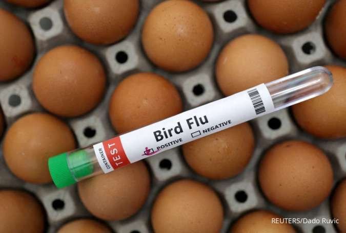 AS Laporkan Kasus Flu Burung Parah pada Manusia, California Umumkan Keadaan Darurat