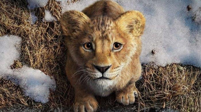 Film Mufasa The Lion King Sudah Tayang di Bioskop, Ini Sinopsis Filmnya: Kisah Ayah Simba