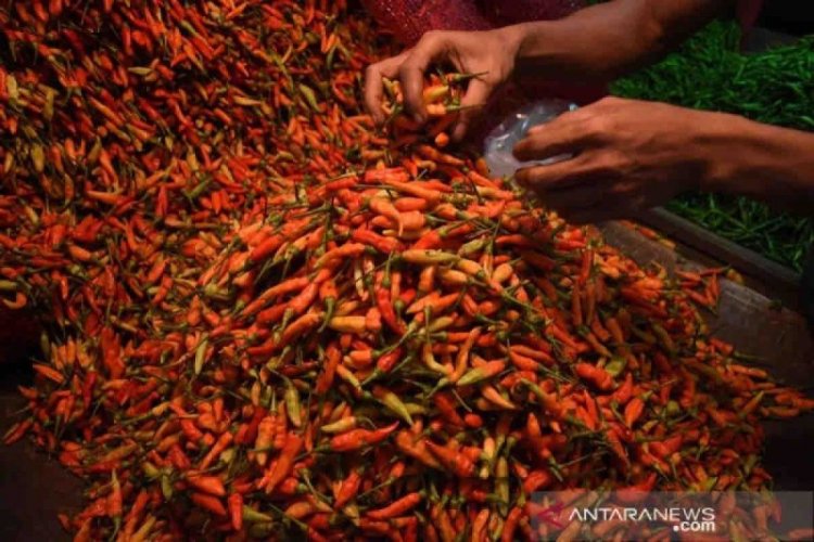 Harga pangan 25 Desember, cabai rawit merah menjadi Rp50.620/kg