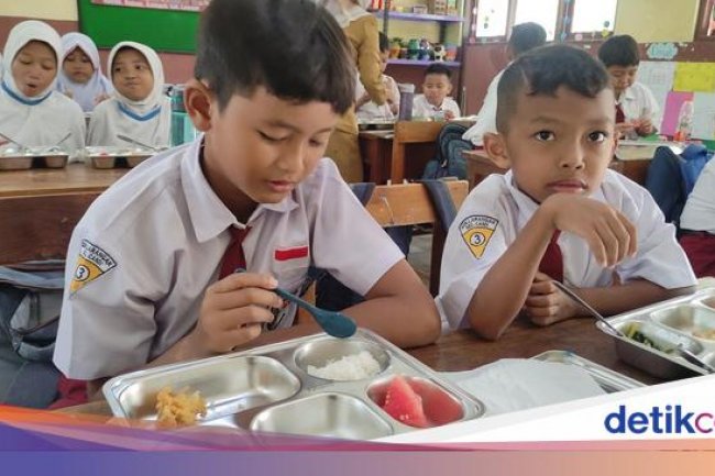 Saran Ahli Gizi untuk Atasi Anak 'Picky Eater' saat Ikut Program Makan Bergizi Gratis