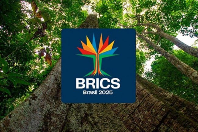 Indonesia Gabung BRICS untuk Lakukan Ekspor Tambang, Ini Fakta di Baliknya