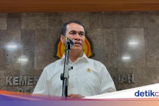 Mentan Maklumi Harga Cabai Melonjak, Kenapa?