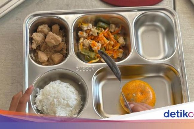 Program Makan Bergizi Gratis Dimulai, Menkes Nilai Wajar Jika Banyak Kekurangan