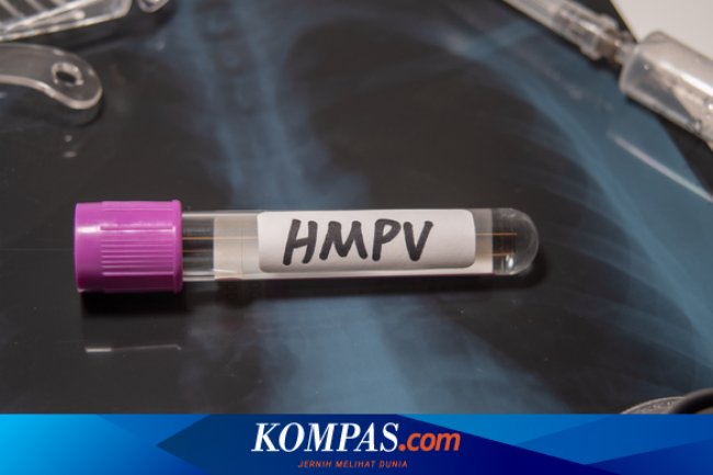 WHO: Peningkatan Kasus HMPV di Musim Dingin Hal Biasa