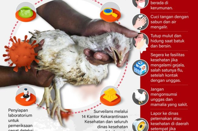 Tingkatkan kewaspadaan terhadap flu burung