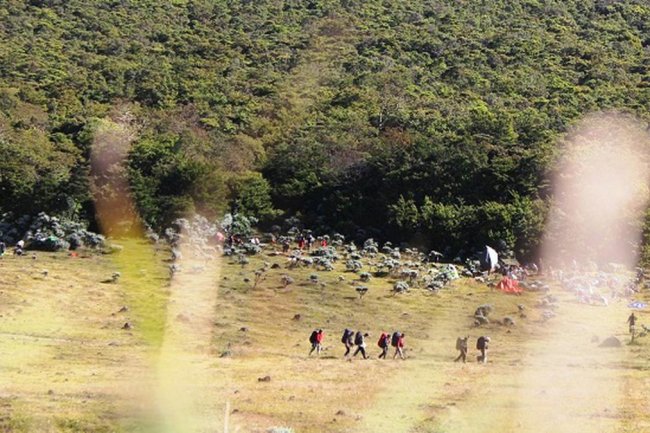 Sinopsis dan Daftar Pemain Film Petaka Gunung Gede, Film Horor Terbaru Garapan Azhar Kinoi Lubis