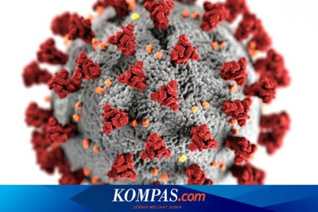 Dinkes Jaktim Temukan 4 Kasus Virus HMPV pada Januari 2025, Seluruhnya Sudah Dinyatakan Sembuh