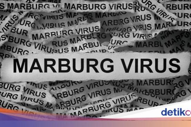 WHO Laporkan Kasus Virus Marburg, Tewaskan 8 Orang di Negara Ini
