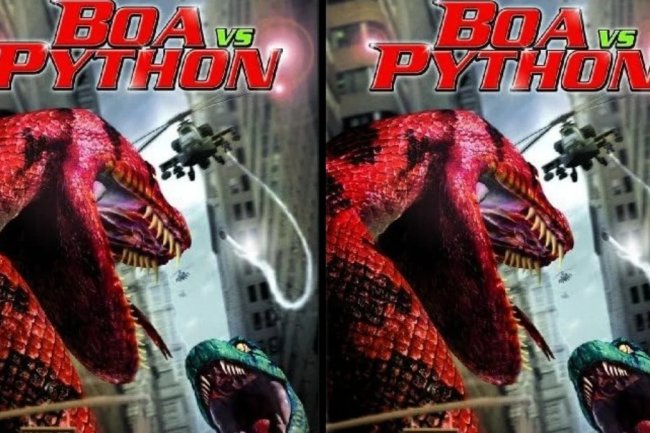 Sinopsis Film Boa Vs Python, Tayang Hari Ini di Bioskop TransTV
