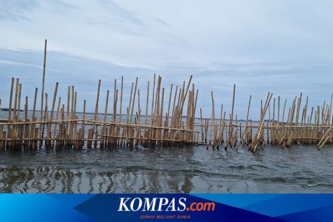 Fakta-fakta Pagar Laut di Pulau C Jakut, Muncul sejak 3 Bulan Lalu dan "Mencekik" Nelayan