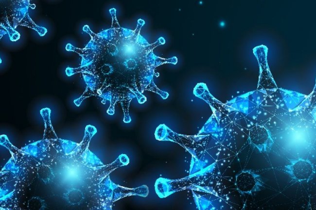 Ditemukan Sejak 2001, Penelitian Virus HMPV di Indonesia Masih Terbatas