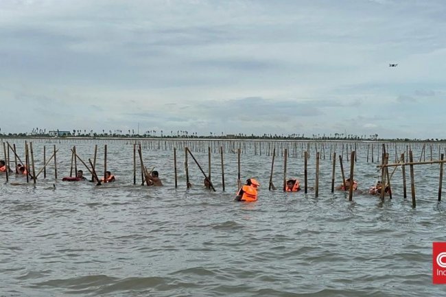 Teriakan 'Mau Kaya Jual Laut' Warnai Pembongkaran Pagar Laut Tangerang