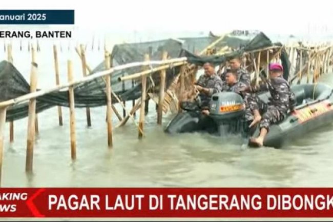 TNI AL soal Tidak Ada Pihak yang Mengaku Buat Pagar Laut Tangerang: Lebih Mudah Kita Bongkar