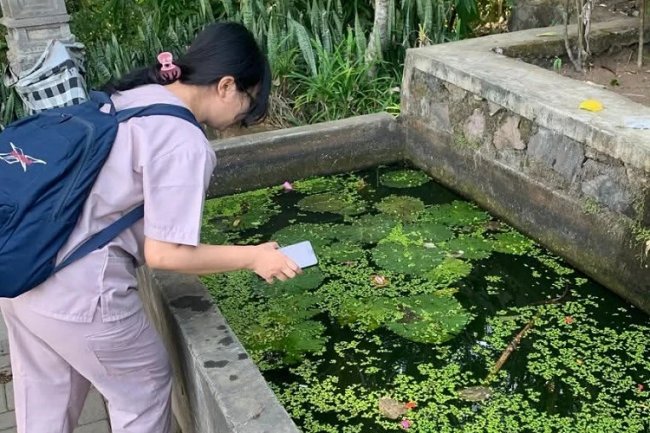 Cegah Peningkatan DBD, Buleleng Berdayakan Peran Jumantik