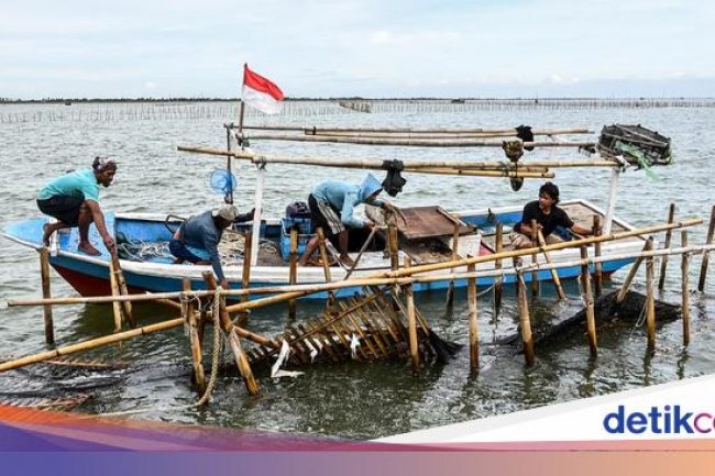 Trenggono Perintahkan Pagar Laut Dibongkar Tunggu Waktu 2 x 24 Jam!