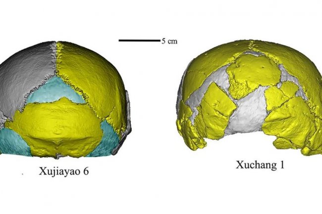 Ilmuwan Duga Kemungkinan Spesies Baru dari Fosil Manusia di China