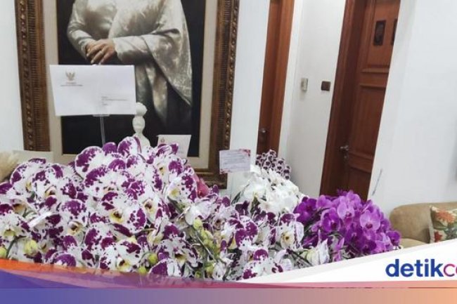 Makna Mendalam Anggrek dari Prabowo untuk Megawati