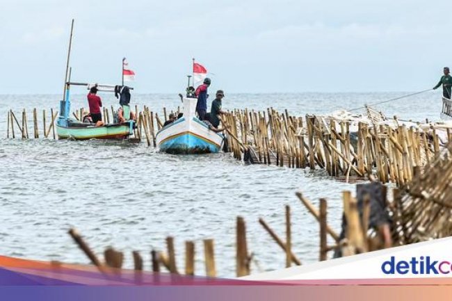 Kejagung Mulai Selidiki Dugaan Kasus Terkait Pagar Laut Tangerang