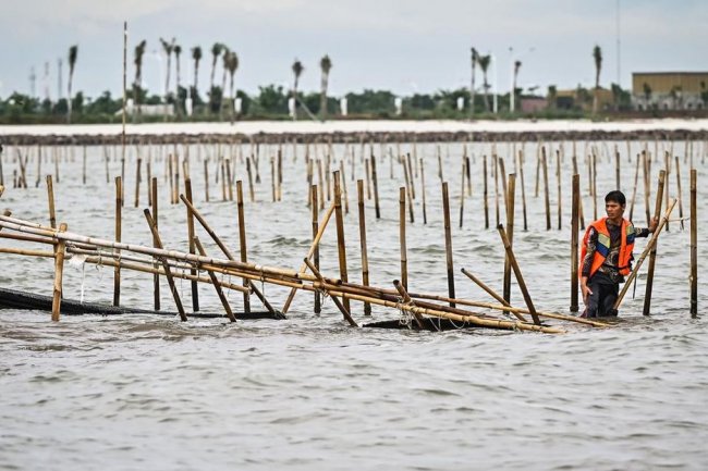 Kemendagri Dalami Keterlibatan Kades soal Penerbitan SHGB Pagar Laut