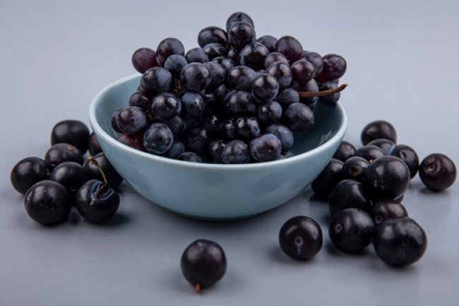 Kaya Serat dan Vitamin C, Ini 5 Manfaat Buah Elderberry untuk Tubuhmu
