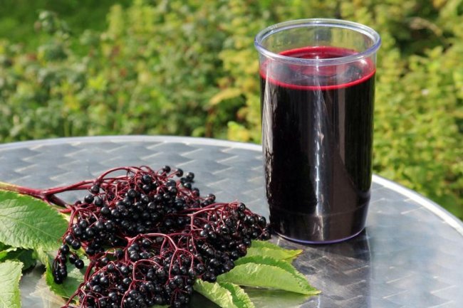 Jus Elderberry Bisa Turunkan Berat Badan? Ini Kata Studi Terbaru