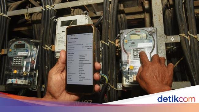 DEN Sempat Ingatkan Prabowo soal PPN 12%, Usulkan Diskon Tarif Listrik 50%