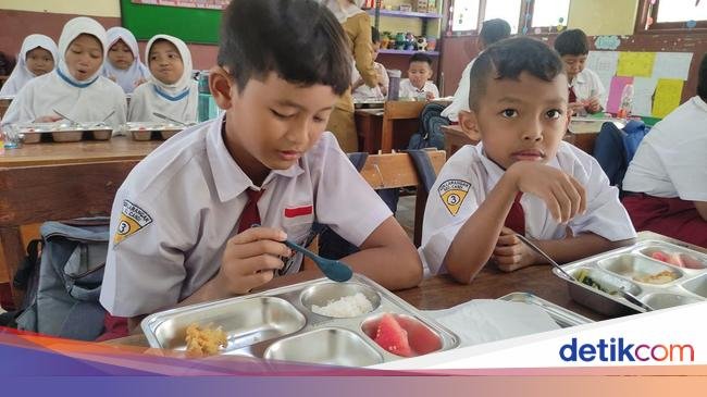 Saran Ahli Gizi untuk Atasi Anak 'Picky Eater' saat Ikut Program Makan Bergizi Gratis