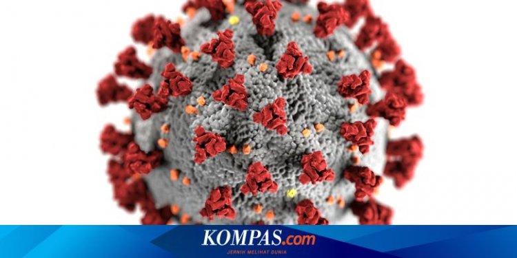 Virus Metapneumovirus: Tidak Berpotensi Menyebabkan Pandemi