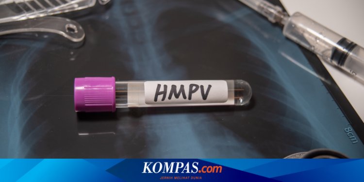 WHO: Peningkatan Kasus HMPV di Musim Dingin Hal Biasa