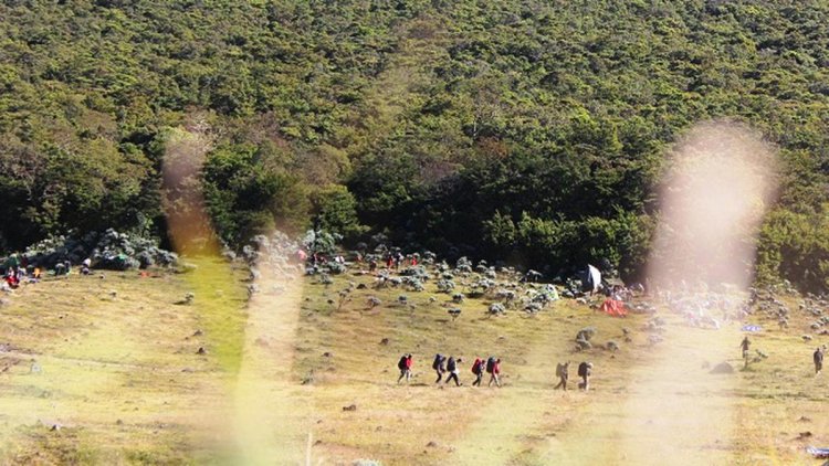 Sinopsis dan Daftar Pemain Film Petaka Gunung Gede, Film Horor Terbaru Garapan Azhar Kinoi Lubis