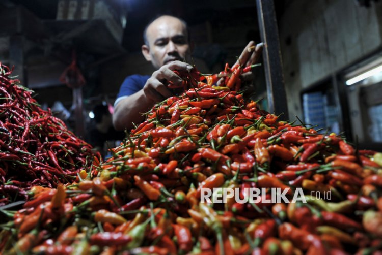 Cuaca Ekstrem Jadi Biang Kerok Kenaikan Harga Cabai