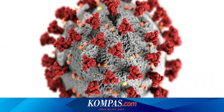 Antisipasi Peningkatan Kasus HMPV, Dinkes Jaktim Perkuat Pemantauan