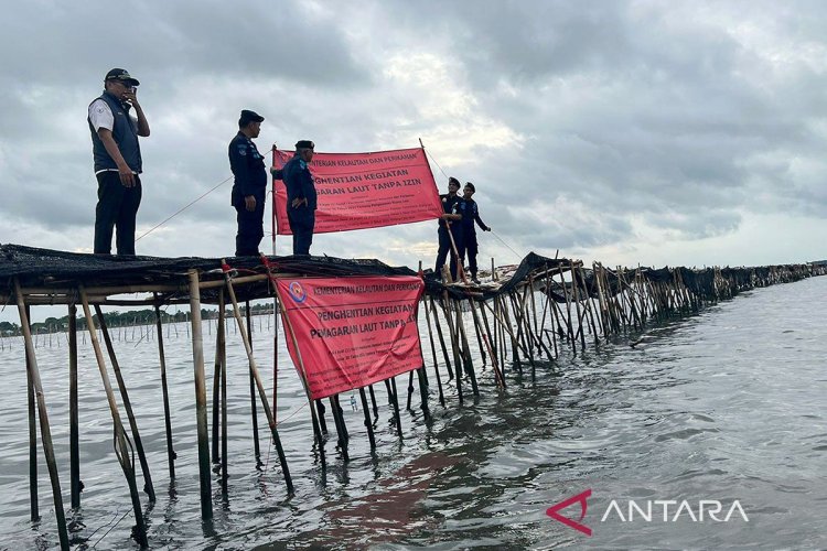 Ekonom taksir kerugian akibat pagar laut capai Rp116,91 miliar