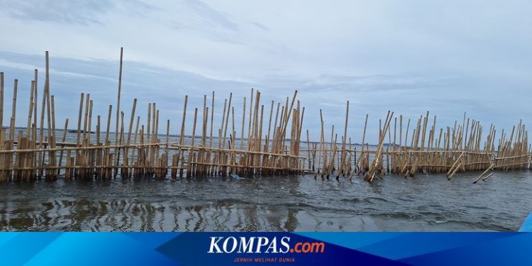 Fakta-fakta Pagar Laut di Pulau C Jakut, Muncul sejak 3 Bulan Lalu dan "Mencekik" Nelayan