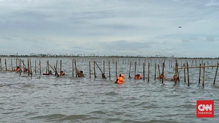 Teriakan 'Mau Kaya Jual Laut' Warnai Pembongkaran Pagar Laut Tangerang