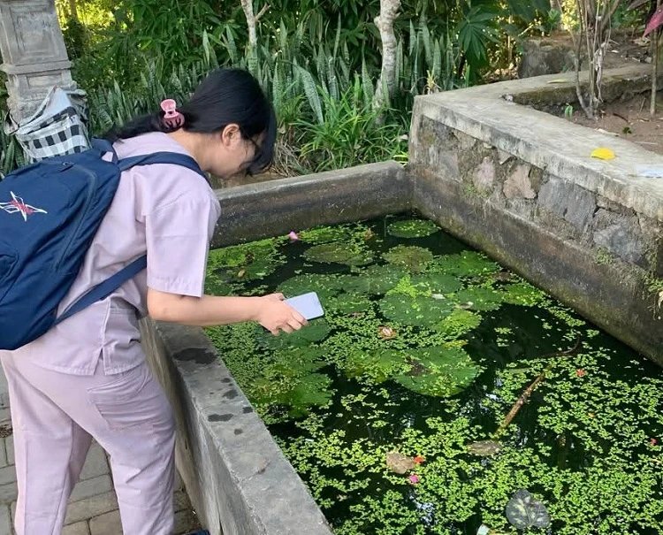 Cegah Peningkatan DBD, Buleleng Berdayakan Peran Jumantik