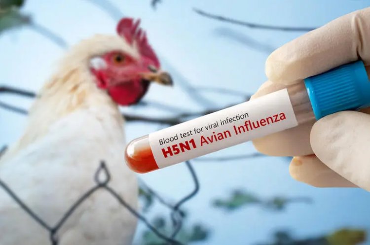 Meningkatkan Pengetahuan Tentang Penyebaran dan Penanganan Flu Burung