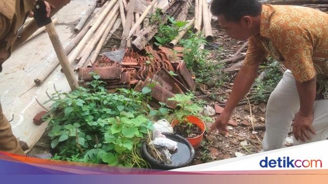 Puluhan Warga Tasik Kena 'Penyakit Misterius', Pasien Alami Demam-Susah Berdiri