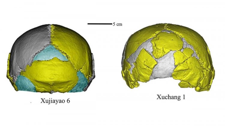 Ilmuwan Duga Kemungkinan Spesies Baru dari Fosil Manusia di China
