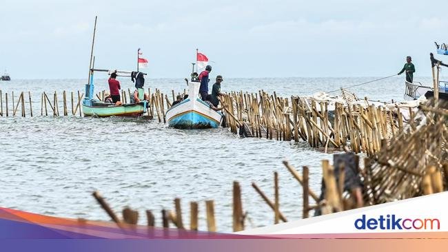 Kejagung Mulai Selidiki Dugaan Kasus Terkait Pagar Laut Tangerang