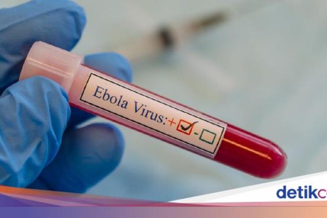 Perangi Wabah Ebola Mematikan, Uganda Mulai Uji Klinis Vaksin Strain Baru