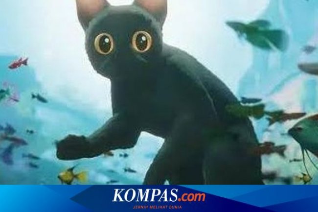 Sinopsis Film Flow, Perjuangan Seekor Kucing Hitam Bertahan dari Banjir