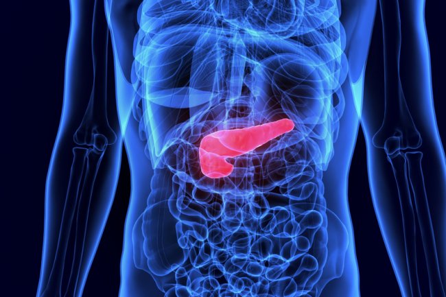 Ekplorasi Aktivitas Anti-Inflamasi dan Antiapoptotik Phloroglucinol Pada Sel Pankreas Dalam Model Diabetes - Universitas Airlangga Official Website