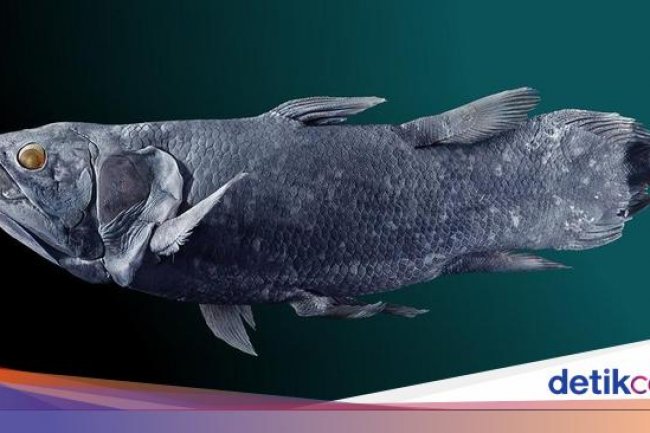 10 Hewan Dianggap Punah yang 'Bangkit dari Kubur', Ada dari Indonesia