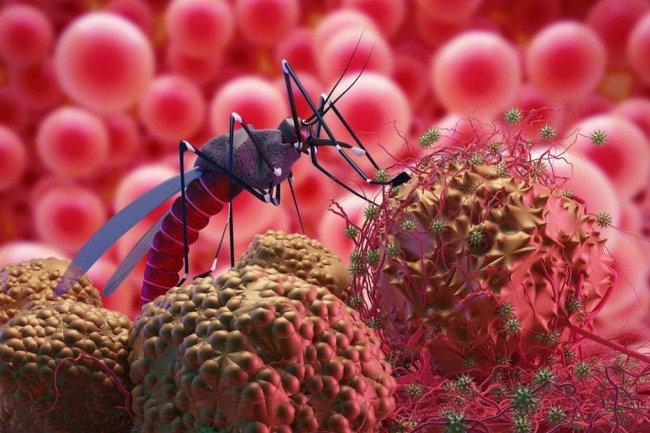 Awal 2025 DBD Mengganas, Kemenkes Catat 6 Ribu Kasus dan 28 Kematian